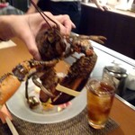 Kyouto Gion Teppanyaki Purancha-Ken - 