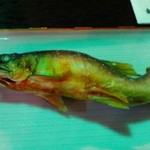 寒井観光余一やな - 鮎の塩焼き