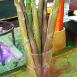 寒井観光余一やな - 巨大アスパラ