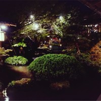 うかい鳥山 - 
