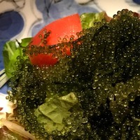 寅八商店 心斎橋店 - 海ぶどうとトマトのサラダ