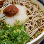 清修庵 - 梅おろしそば（梅おろしそばセット）