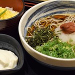 清修庵 - 梅おろしそばセット