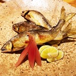 魚匠 梶 - 鮎の塩焼き
