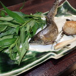 おちあいろう - 