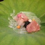 おちあいろう - 