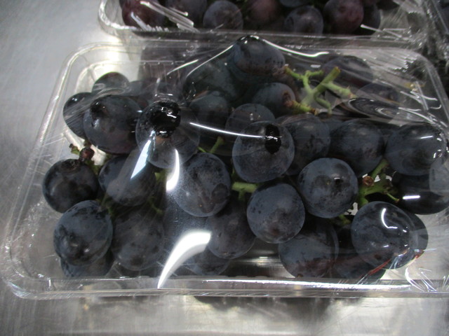 ぶどう ブドウ 葡萄狩りもできる直売所 By Sg325 今荘ぶどう園 長浜 その他 食べログ