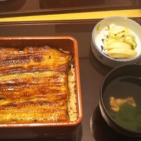 赤坂ふきぬき - 鰻重 松