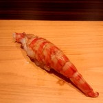 鮨 和さび - クルマエビ