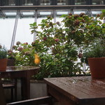 Park Hyatt Hamburg - 中庭