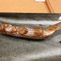 魚屋 小次朗 - 本ししゃも