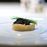 ポンテ ベッキオ - 温かいポテトのティンバッロとキャビア
