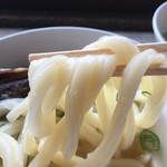 手打うどん たむら - これが、たむらの麵やァ～♬