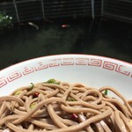 Ikeuchi Udon Ten - 池の下まで降りて鯉を見ながら＾＾