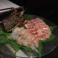 眞か SHINKA - 