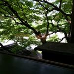 キメラ - 外の様子