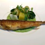 キメラ - 若鮎のコンフィ