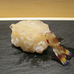 鮨 なかや - 車海老