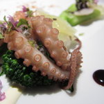 レフェルヴェソンス - イイダコのソテー＆ｍｏｒｅＵＰ１（2011.2月）