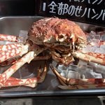 ワインちゃん 瓦・町・路・地 - 大体の場所は把握していたんですが、行ったらビックリするよっとか。 行き過ぎないでねっとか。 色々と言われていたので、注意しながらお店を探しました。 ん～、ないぞ～ってウロウロとしていると、美味しそうな