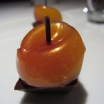 レフェルヴェソンス - ”おしゃべりのひととき”の一　あんずのジュース固めてＵＰ１（2011.2月）