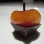 レフェルヴェソンス - ”おしゃべりのひととき”の一　あんずのジュース固めてＵＰ２（2011.2月）