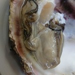 庶民 - 岩牡蠣