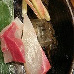 つりや - 愛媛産のシマアジ造り