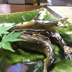 かたつむり - 郡上鮎の塩焼き