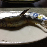 かたつむり - 郡上鮎