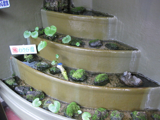 藤崎わさび園 - 登別市その他（その他）の写真