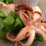 ラディーチェ - 