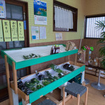 中村製麺所 - 店内（なか）