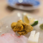 うを徳 - 蝦夷積丹（えぞしやこたん）紫海膽（むらさきうに）