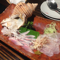 常春 - 