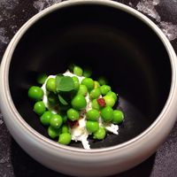 TACUBO - 