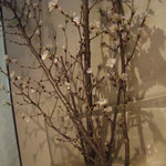 料理屋 仲島 - 店内には桜が。もうすぐ満開＾＾