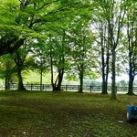 Atelier de Fromage Karuizawa Baiten - ［2017/07］矢ケ崎公園に到着した時には…