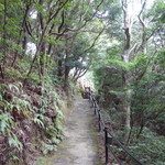 ホテルリッジ - 遊歩道