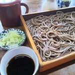 慈恩寺そば - つけ汁とネギはたっぷりめ 