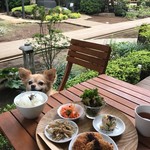 赤門テラスなゆた - 