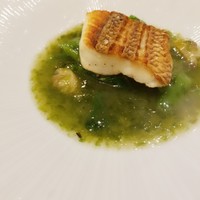 Restaurant つじ川 - 真鯛のソテー　アサリと青海苔のソース