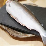 寿しの吉乃 - さつき鱒