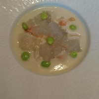 キノシタ - 