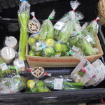 ヤオヨシ - 痛んでる