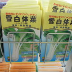 ヤオヨシ - 来週あたり播種します