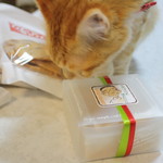 レストラン山崎 - ボクにも・・・