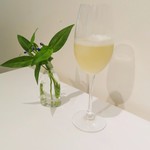 プレヴナンス - 自家製エルダーフラワー