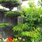 日曜日のそば屋　手打ちそば　ささ藪 - 隠れてますw