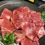 Wagyuu Yakiniku Takara - 